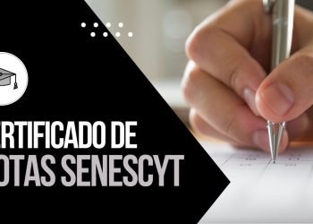 Certificado de notas Senescyt examenes de acceso a la educacion superior